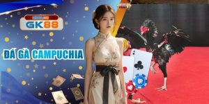 Đá Gà Campuchia Tại GK88 Xem Các Trận Giao Đấu Siêu Hay