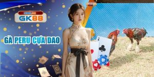 Gà Peru Cựa Dao Sảnh GK88 Tuyệt Kỹ Giao Tranh Sắc Bén