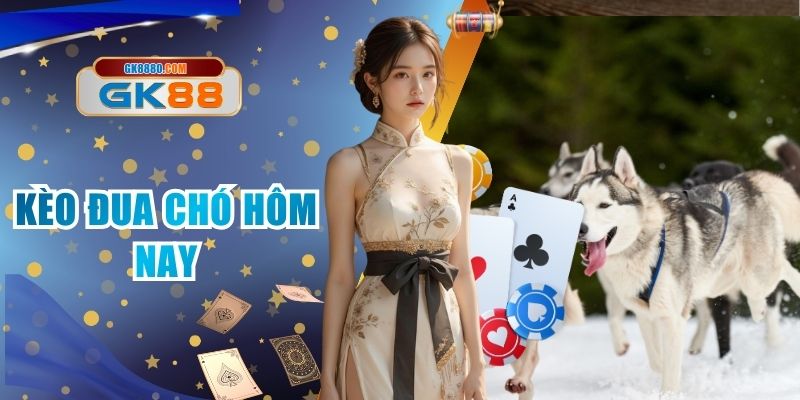 Kèo Đua Chó Hôm Nay Tại Nhà Cái GK88 - Chốt Hay, Trúng Lớn