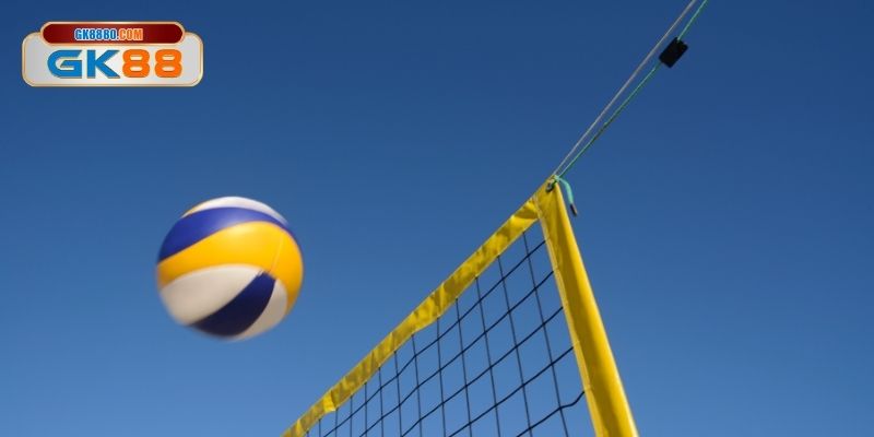 Những lựa chọn đặt cược phổ biến trận đấu