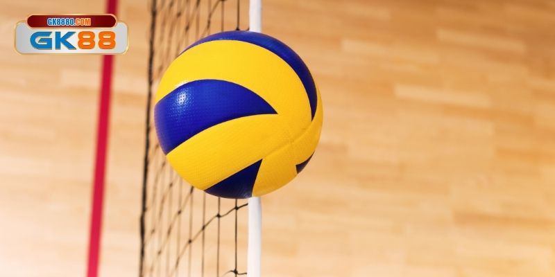 Thông tin đầy đủ về kèo bóng chuyền olympic